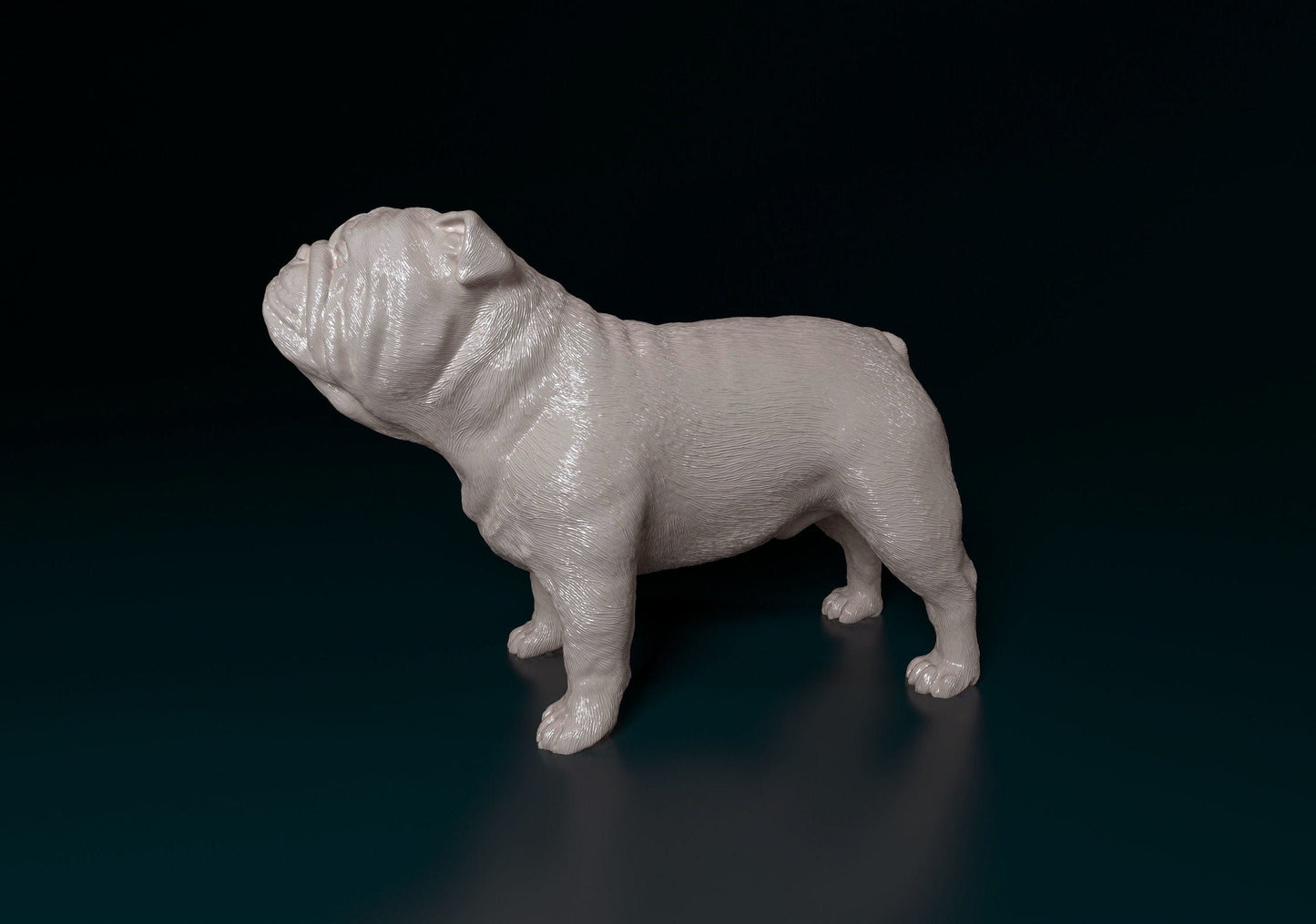 English Bulldog -Smooth- 3D Print
