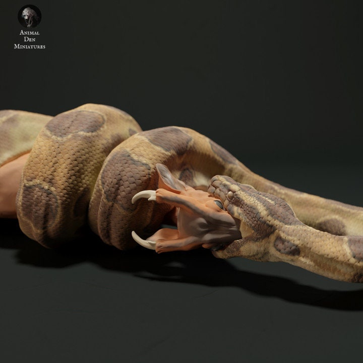 Burmese Python eating Muntjac - UNPAINTED - Animal Den Miniatures