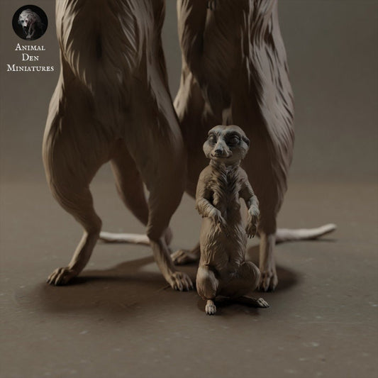 Meerkat Family - UNPAINTED - Animal Den Miniatures