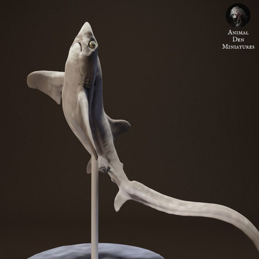 Big Eye Thresher Shark - UNPAINTED - Animal Den Miniatures