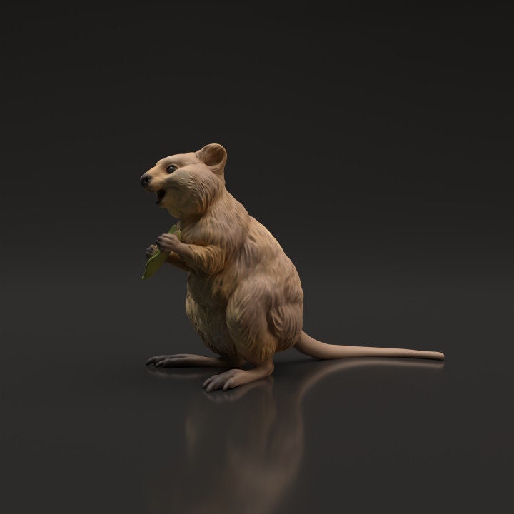 Quokka - UNPAINTED - Animal Den Miniatures