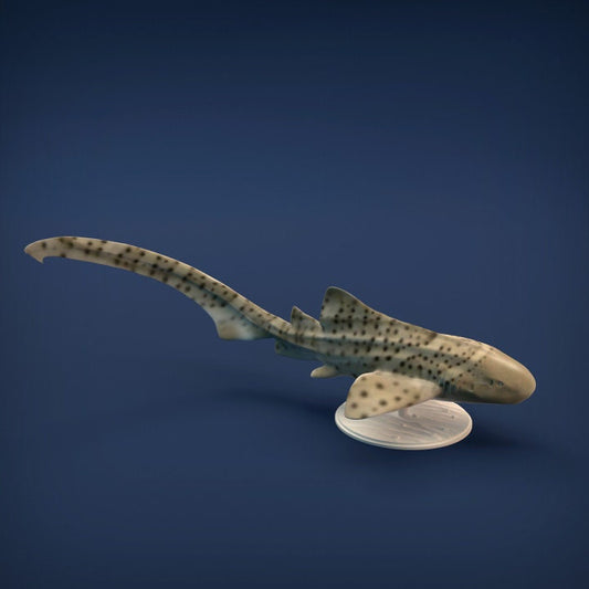 Zebra Shark - UNPAINTED - Animal Den Miniatures