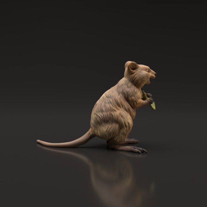 Quokka - UNPAINTED - Animal Den Miniatures