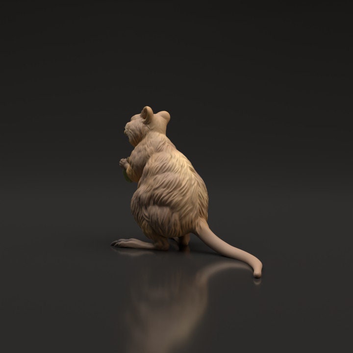 Quokka - UNPAINTED - Animal Den Miniatures