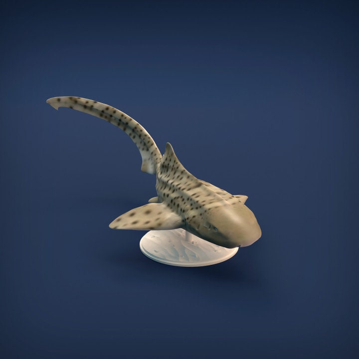 Zebra Shark - UNPAINTED - Animal Den Miniatures