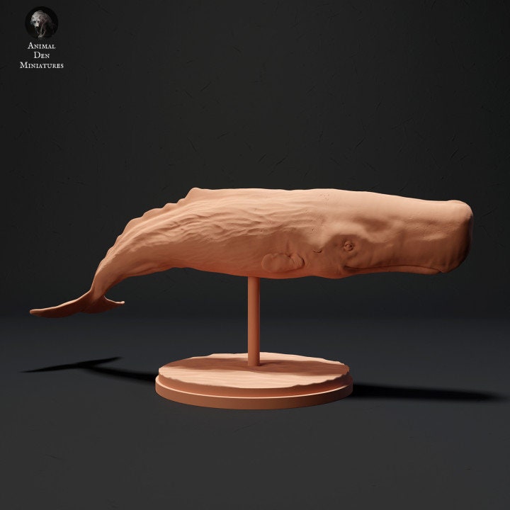 Sperm Whale - UNPAINTED - Animal Den Miniatures