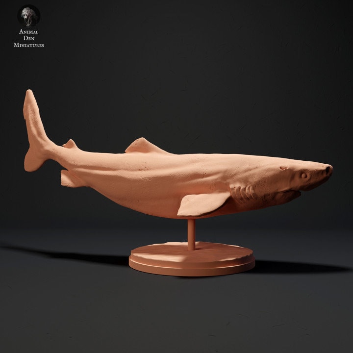 Greenland Shark - UNPAINTED - Animal Den Miniatures