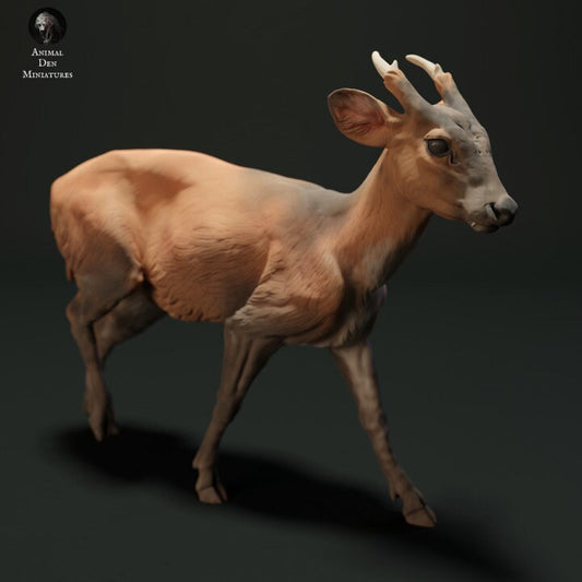 Muntjac Deer- UNPAINTED - Animal Den Miniatures
