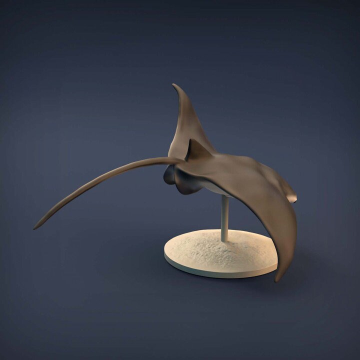 Manta Ray - UNPAINTED - Animal Den Miniatures