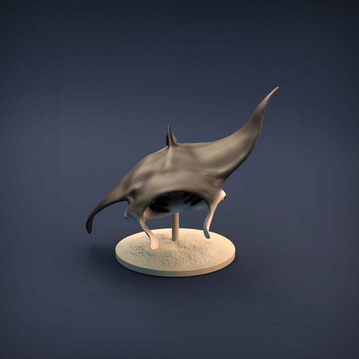Manta Ray - UNPAINTED - Animal Den Miniatures