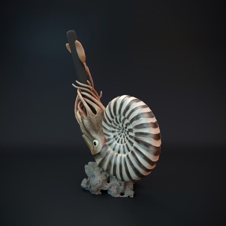 Ammonite pen holder - UNPAINTED - Dino and Dog Miniatures