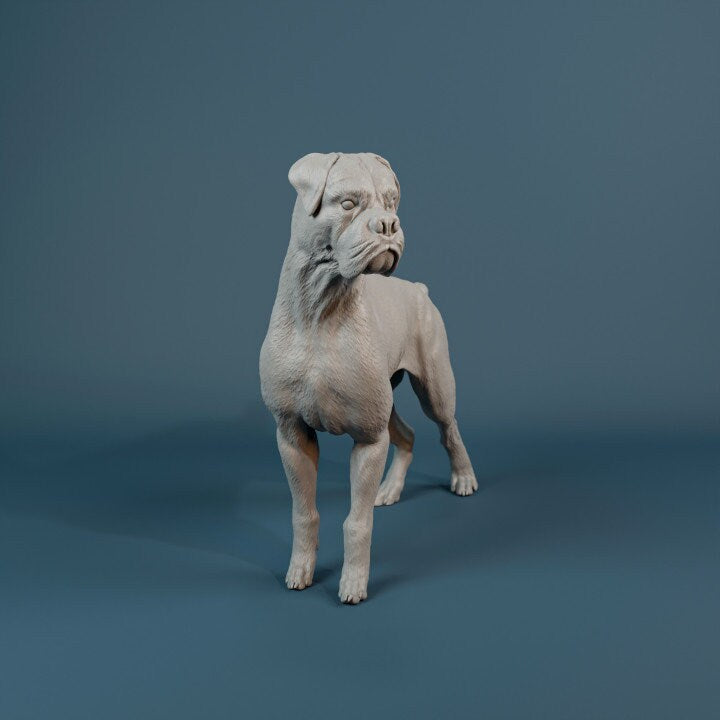 Boxer - 3D Resin Print/Figure - Dino and Dog Miniatures