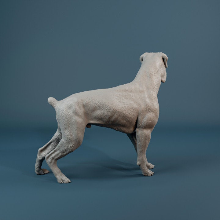 Boxer - 3D Resin Print/Figure - Dino and Dog Miniatures