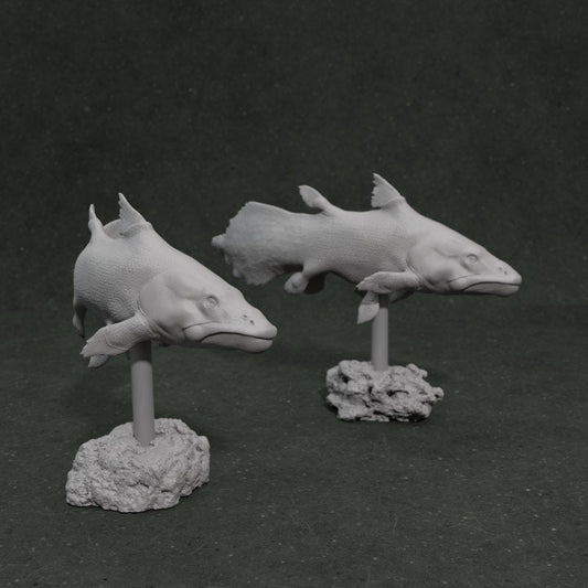 Mawsonia gigas - Dino and Dog Miniatures