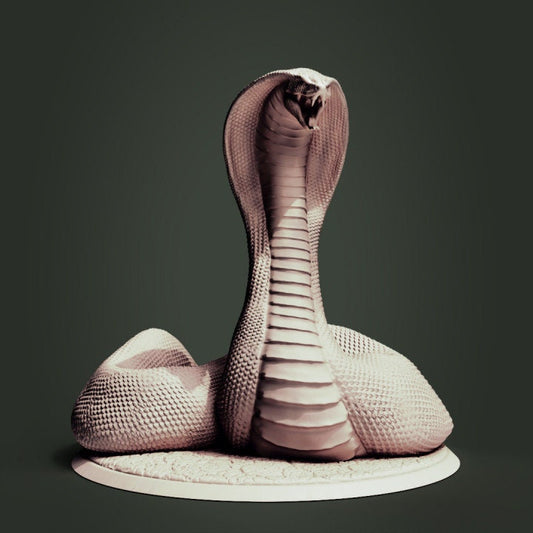 Cobra - Clynche Art