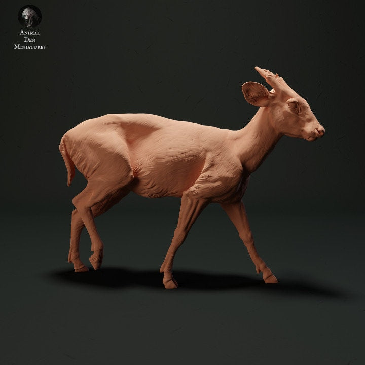 Muntjac Deer- UNPAINTED - Animal Den Miniatures
