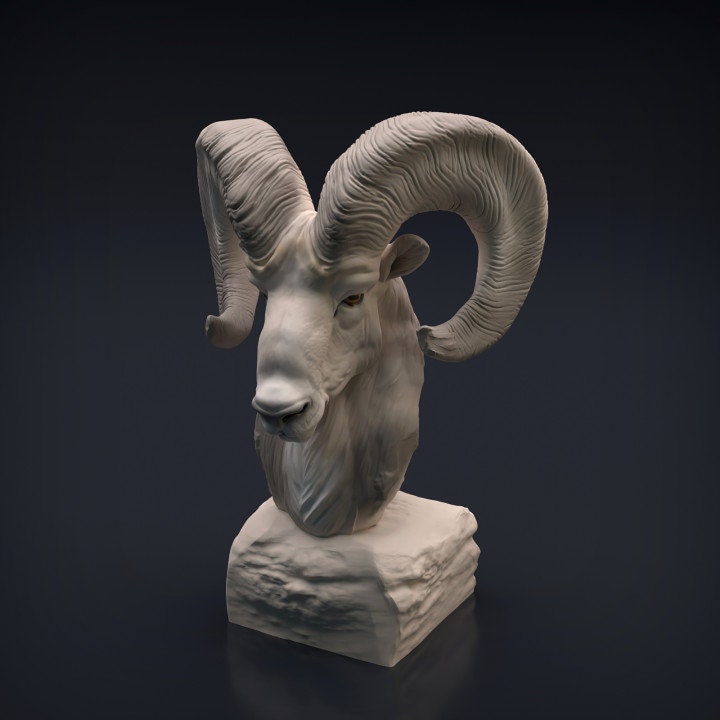 Ram Bust - Animal Den Miniatures