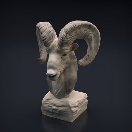 Ram Bust - Animal Den Miniatures