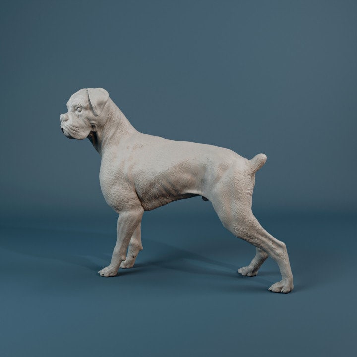 Boxer - 3D Resin Print/Figure - Dino and Dog Miniatures