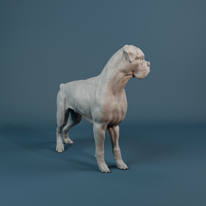 Boxer - 3D Resin Print/Figure - Dino and Dog Miniatures