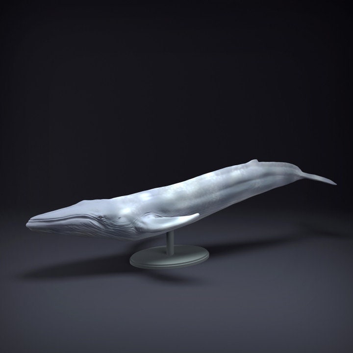 Blue Whale - UNPAINTED - Animal Den Miniatures