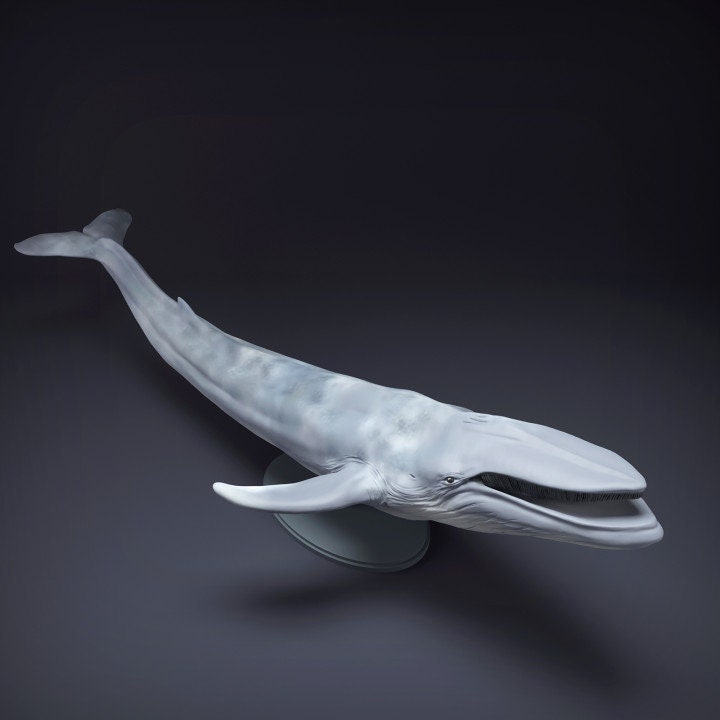 Blue Whale-Mouth Open - UNPAINTED - Animal Den Miniatures