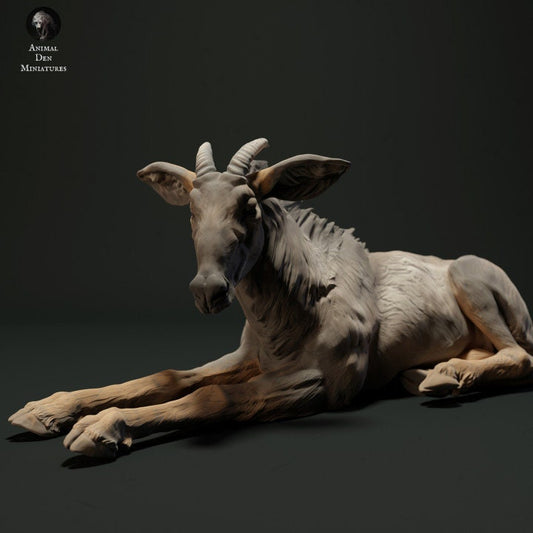 Sumatran Serow Lying Down - UNPAINTED - Animal Den Miniatures