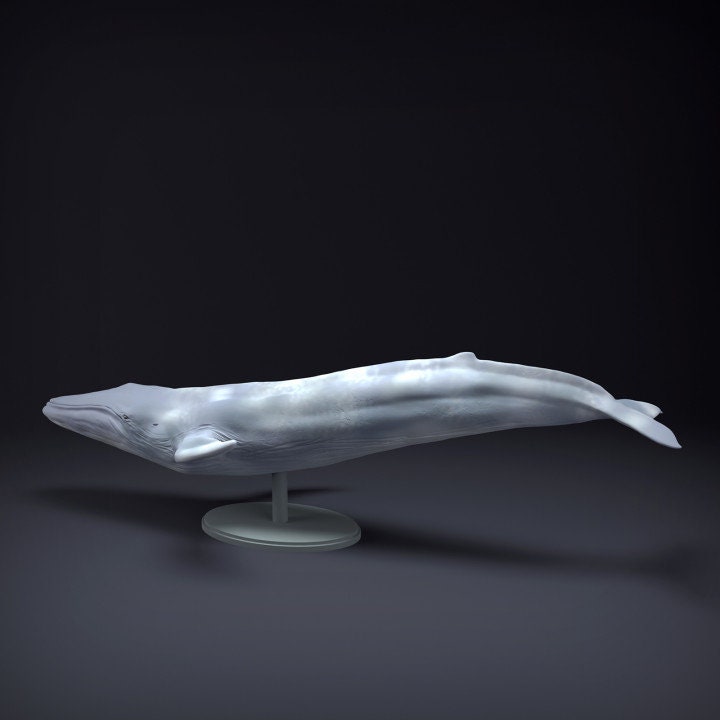 Blue Whale - UNPAINTED - Animal Den Miniatures