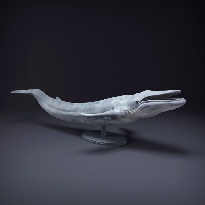 Blue Whale-Mouth Open - UNPAINTED - Animal Den Miniatures