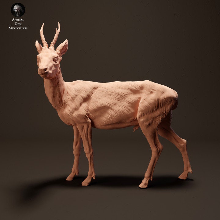 Roe Deer - UNPAINTED- Animal Den Miniatures