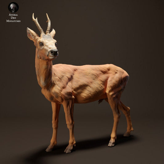 Roe Deer - UNPAINTED- Animal Den Miniatures