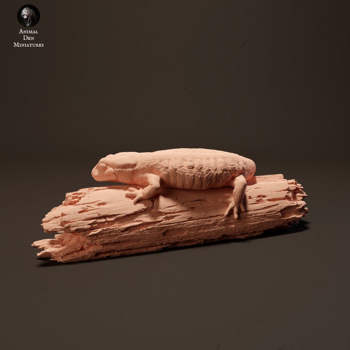 Fire Salamander - UNPAINTED - Animal Den Miniatures