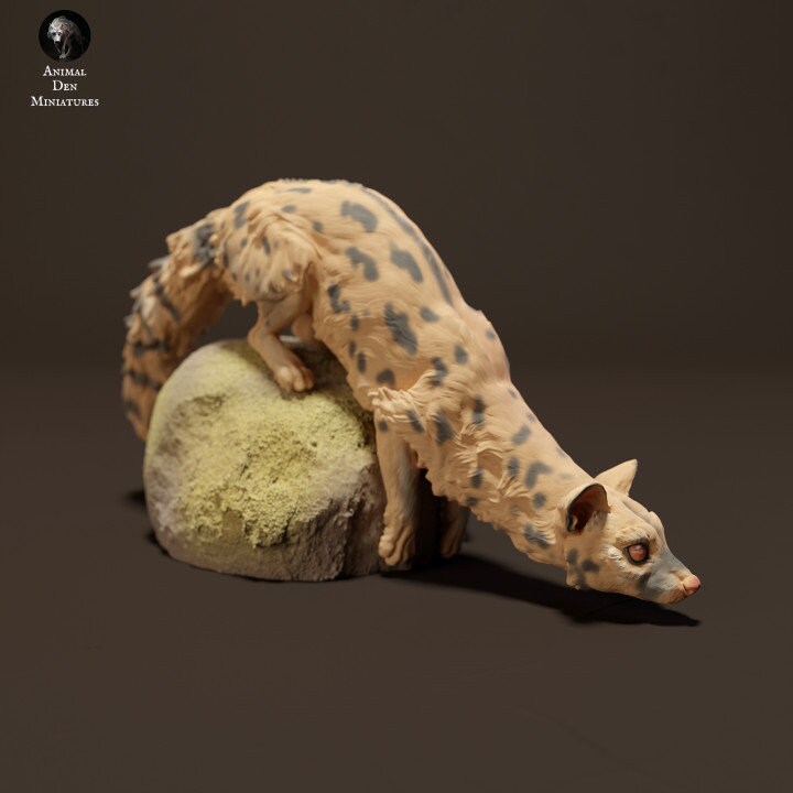 Common Genet and Rock - UNPAINTED - Animal Den Miniatures