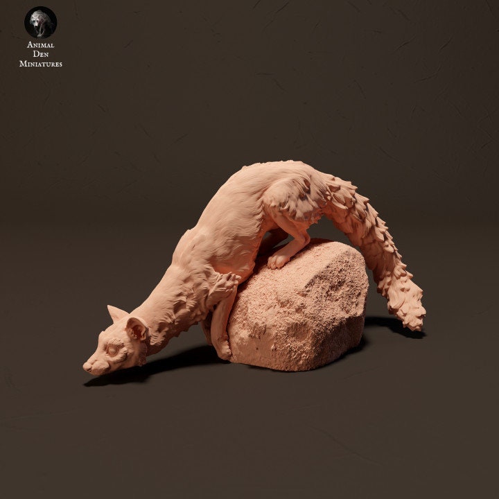 Common Genet and Rock - UNPAINTED - Animal Den Miniatures