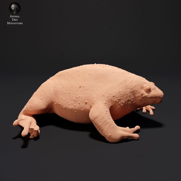 Mexican Burrowing Toad - UNPAINTED - Animal Den Miniatures
