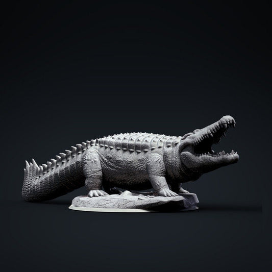 Crocodile - Clynche Art