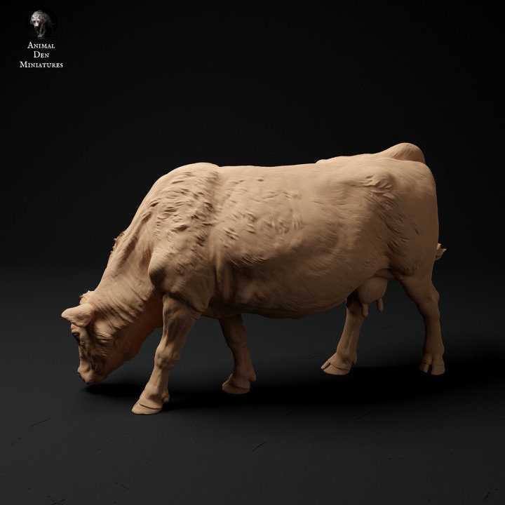 Red Devon Cow Grazing - UNPAINTED - Animal Den Miniatures