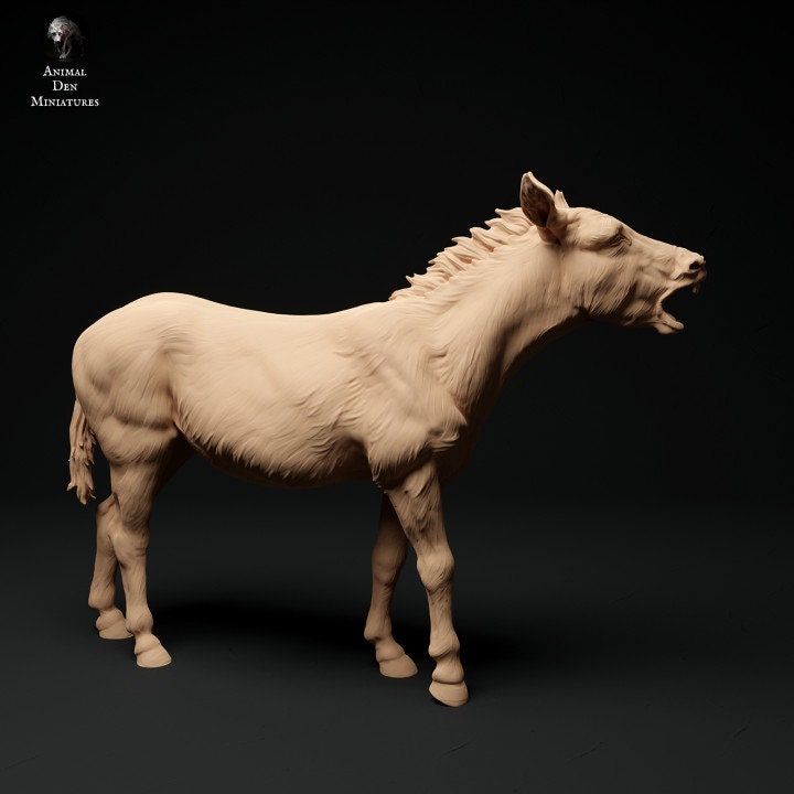 Common Donkey Bray - UNPAINTED - Animal Den Miniatures