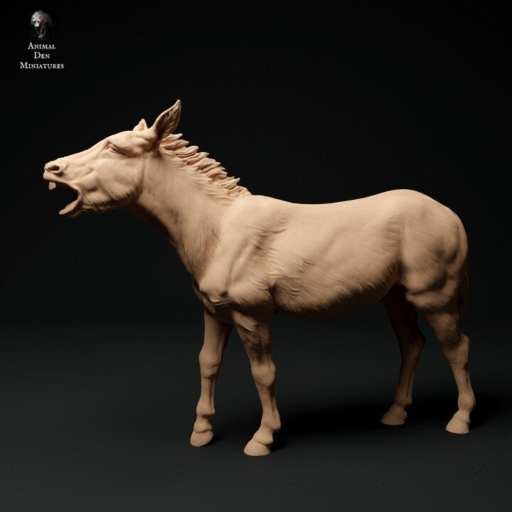 Common Donkey Bray - UNPAINTED - Animal Den Miniatures
