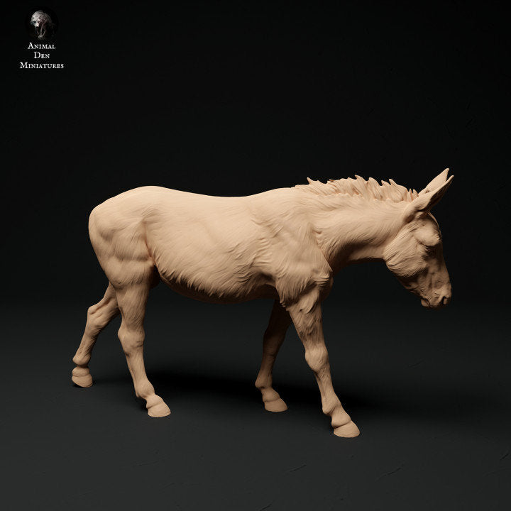 Common Donkey - UNPAINTED 3D resin print/figure - Animal Den Miniatures