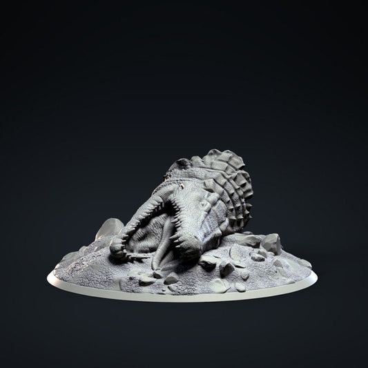 Crocodile's Head - Clynche Art