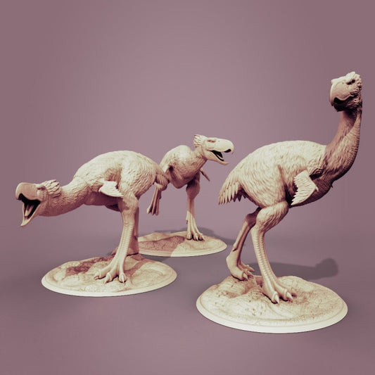 Kelenken - Clynche Art