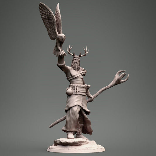 Druid with Owl - Clynche Art