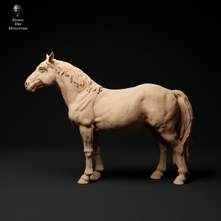 Konik Horse - UNPAINTED - Animal Den Miniatures