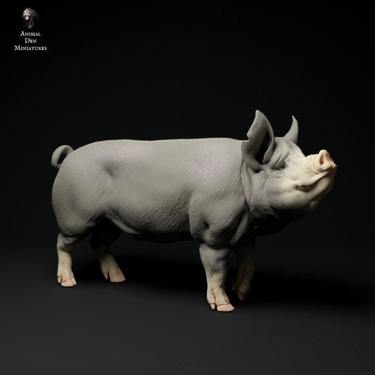 Berkshire Boar - UNPAINTED - Animal Den Miniatures
