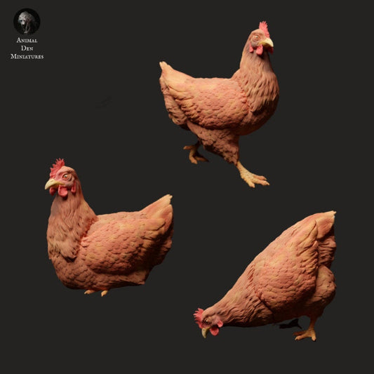 Chickens - UNPAINTED - Animal Den Miniatures