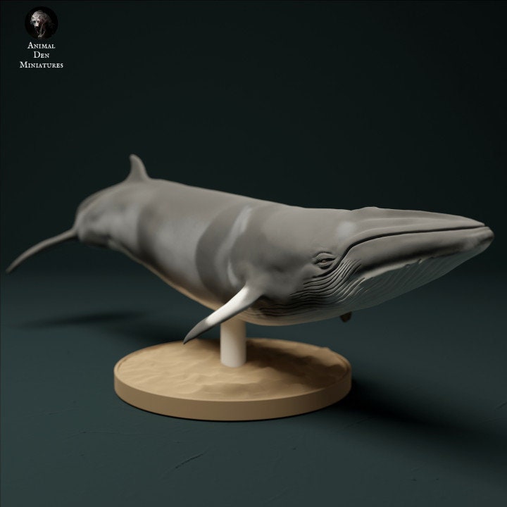 Minke Whale - UNPAINTED - Animal Den Miniatures