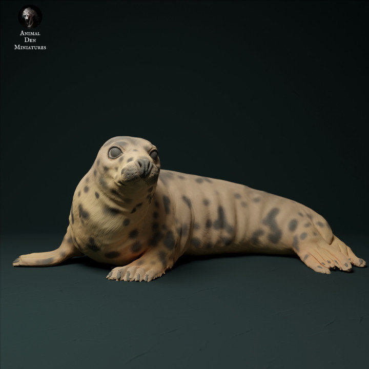 Grey Seal Female - UNPAINTED - Animal Den Miniatures