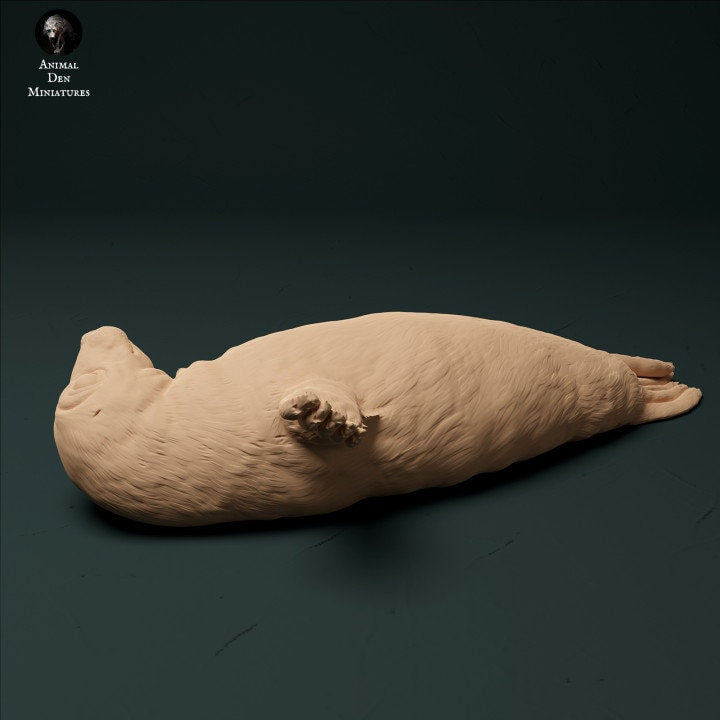 Grey Seal Pup - UNPAINTED - Animal Den Miniatures