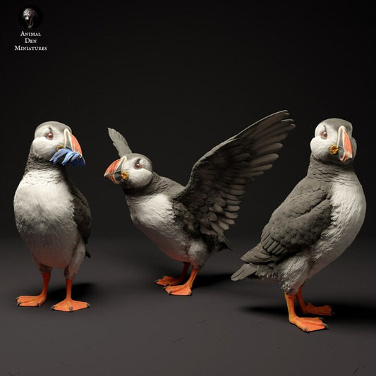 Atlantic Puffins - UNPAINTED - Animal Den Miniatures